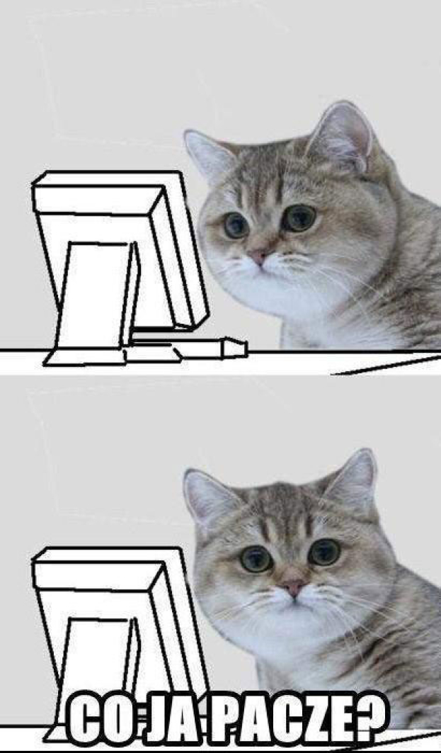 Natalia Siwiec dostała rasowego kota na Gwiazdkę (ZDJĘCIA)