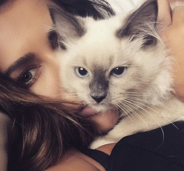 Natalia Siwiec dostała rasowego kota na Gwiazdkę (ZDJĘCIA)