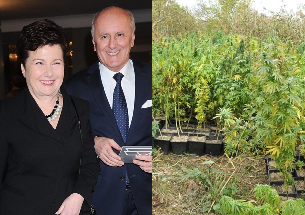 Trudny tydzień HGW: od zgwałcenia do marihuany